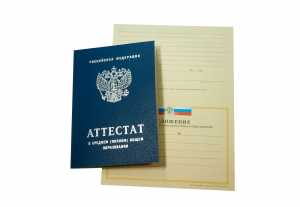 Аттестат за 11 класс с 2008 по 2009 годы образец 2