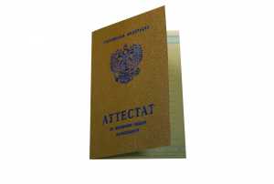 Аттестат за 9 класс с 2008 по 2009 годы образец 2