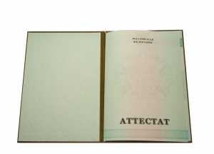 Аттестат за 9 класс с 2010 по 2013 годы образец 3