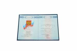 Диплом о среднем образовании с 2008 по 2010 годы образец 2