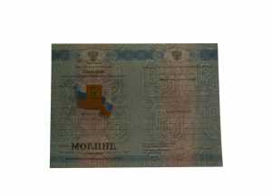 Диплом о среднем образовании с 2011 по 2013 годы образец 1