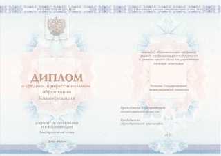 Диплом колледжа 2014, 2015, 2016, 2017, 2018, 2019, 2020, 2021, 2022, 2023, 2024 года